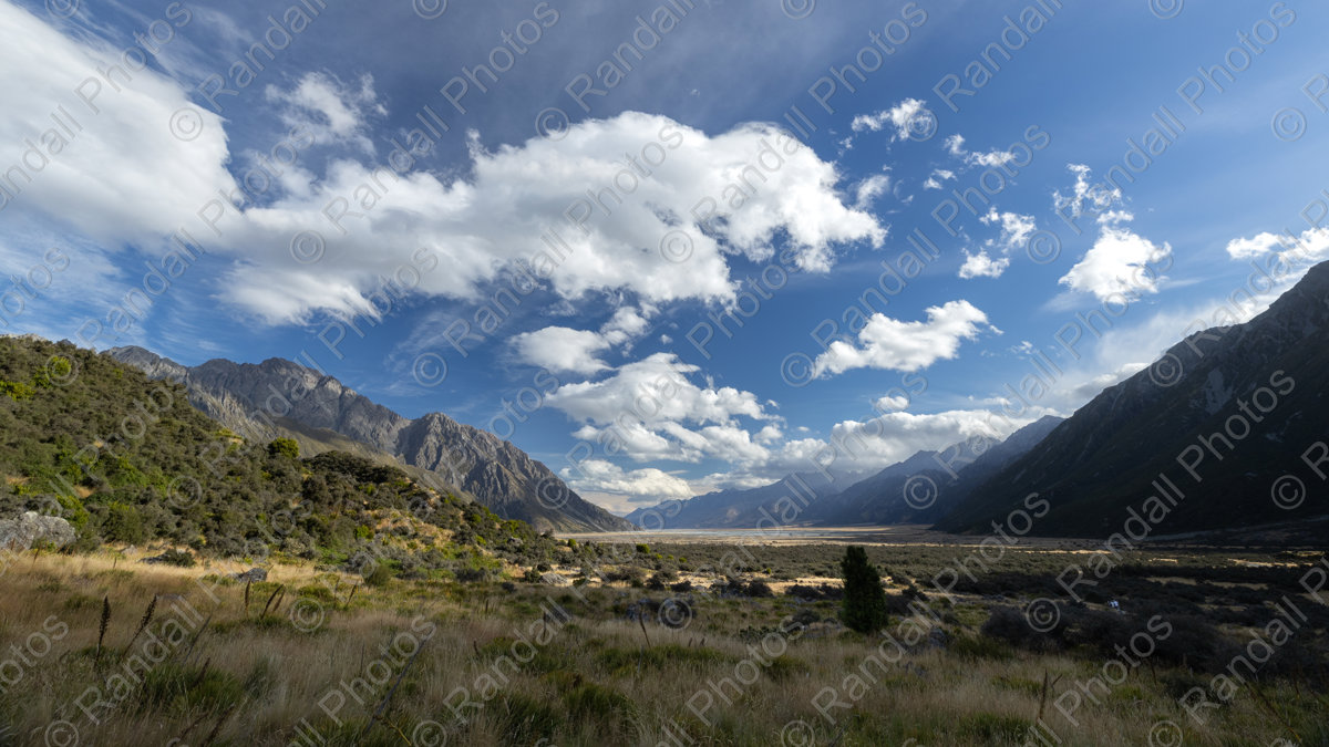 New Zealand