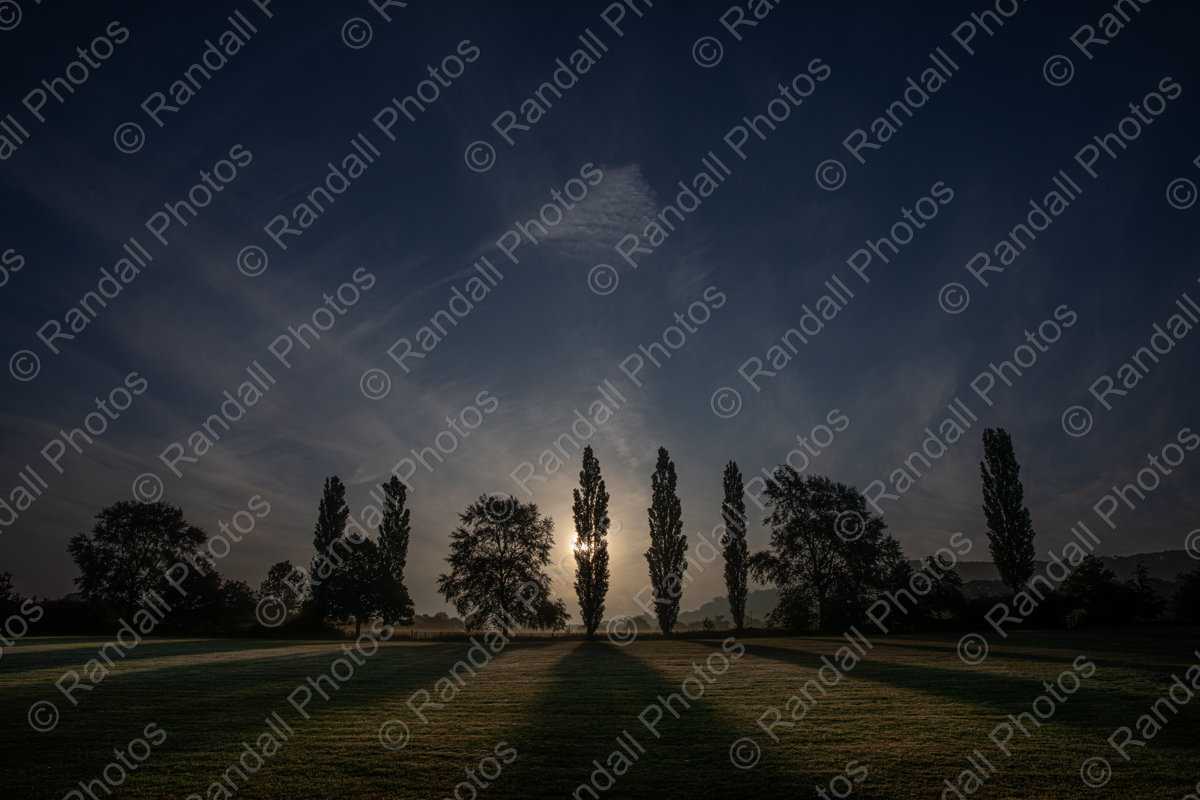 With love from Motcombe 