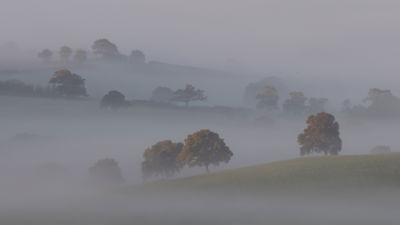 Early morning mist 